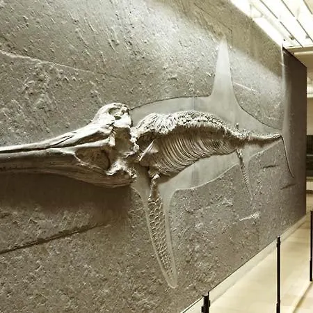 Evangelische Tagungsstaette מלון