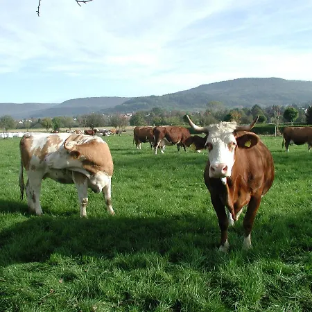 Evangelische Tagungsstaette