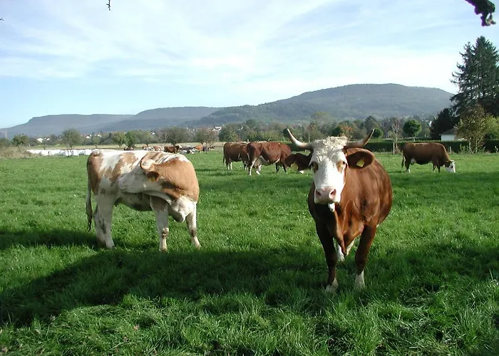 Evangelische Tagungsstaette